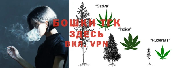 спиды Переславль-Залесский