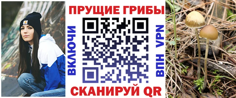 Галлюциногенные грибы GOLDEN TEACHER  Кыштым 