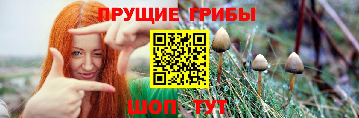 Кыштым  Псилоцибиновые грибы Psilocybine cubensis  купить   Вход с VPN 